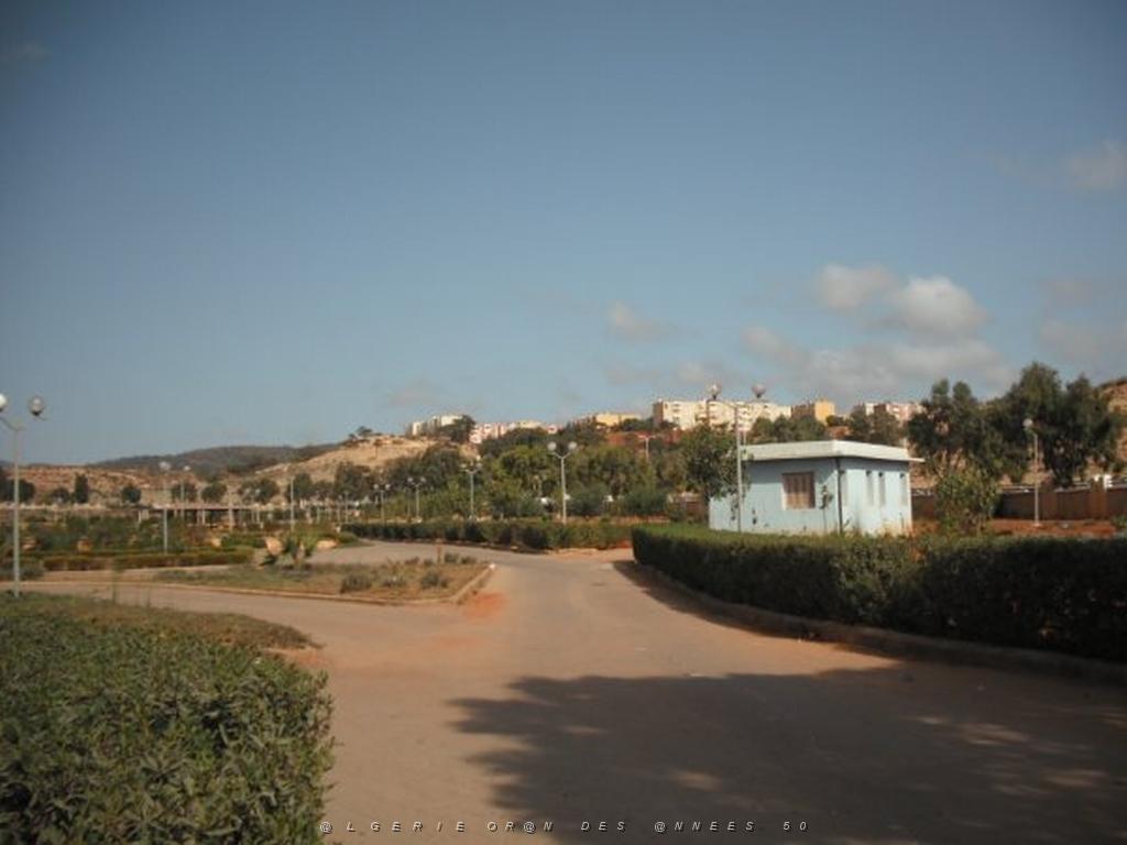 DSCF0069.jpg