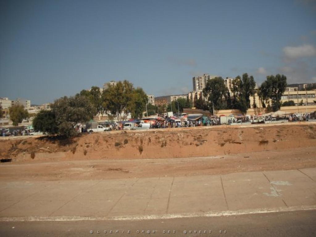 DSCF0089.jpg