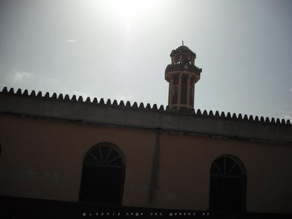 DSCF0092.jpg