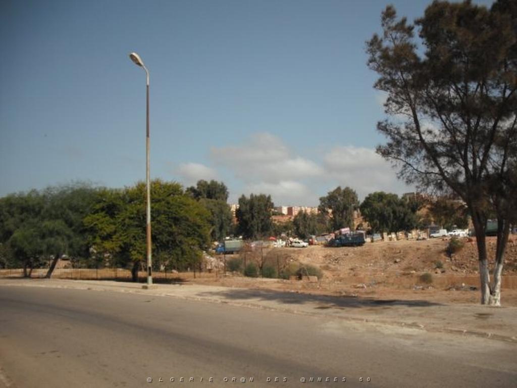 DSCF0096.jpg