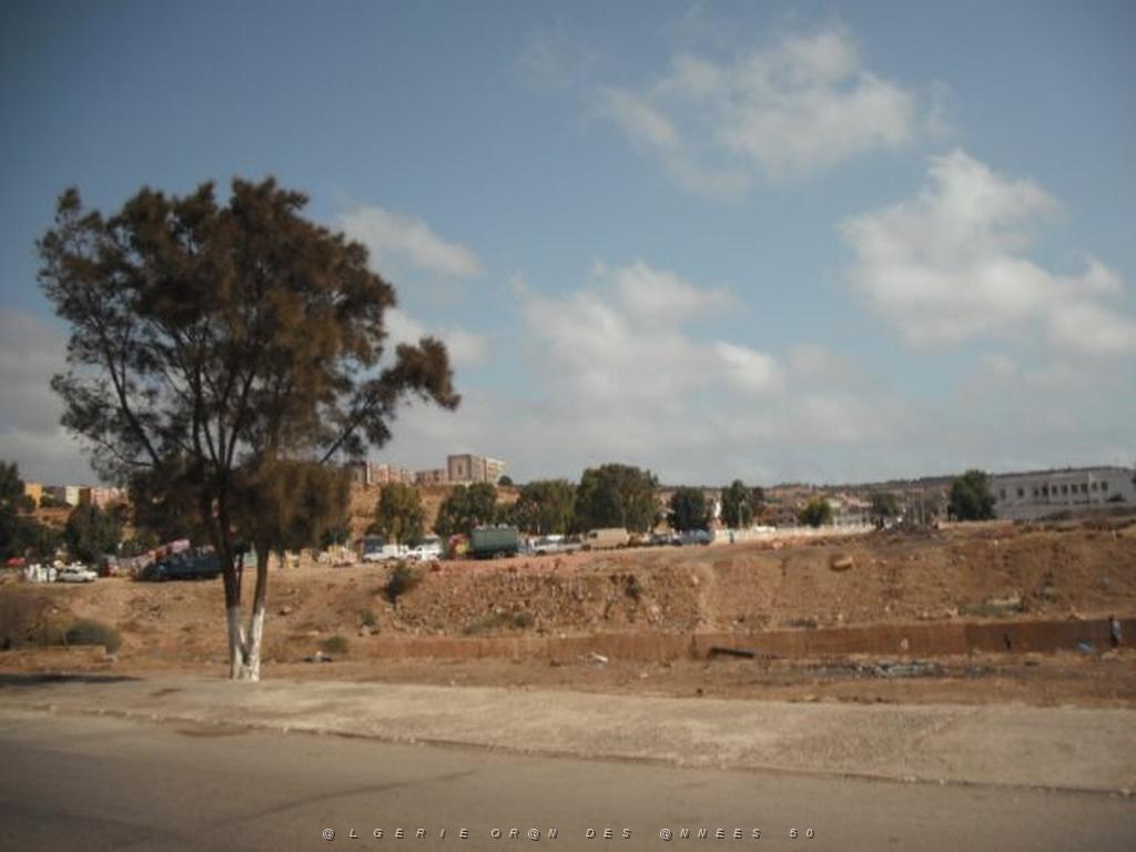 DSCF0097.jpg