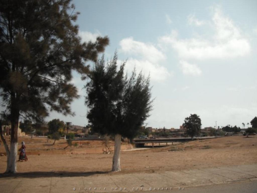 DSCF0098.jpg
