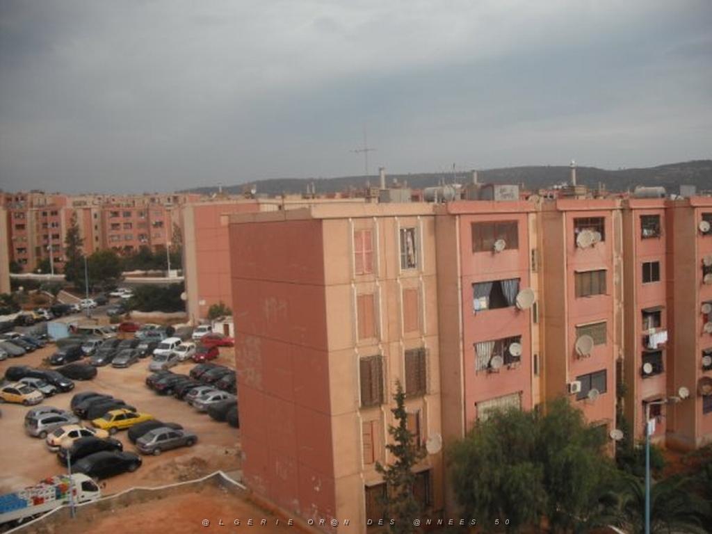 DSCF0871.jpg