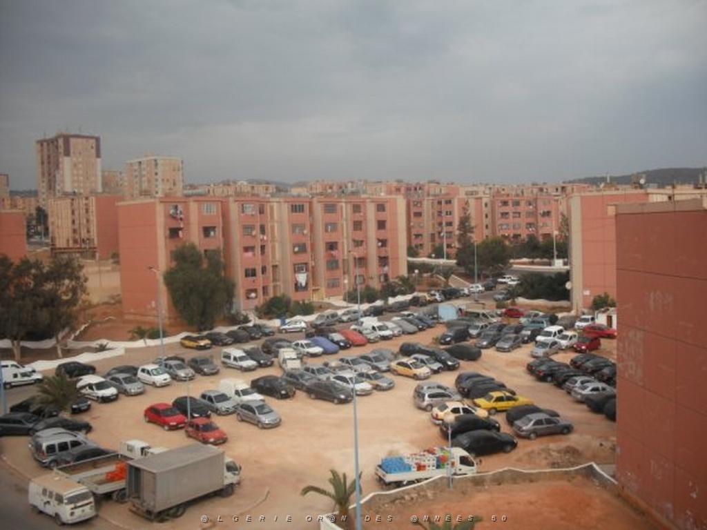 DSCF0872.jpg