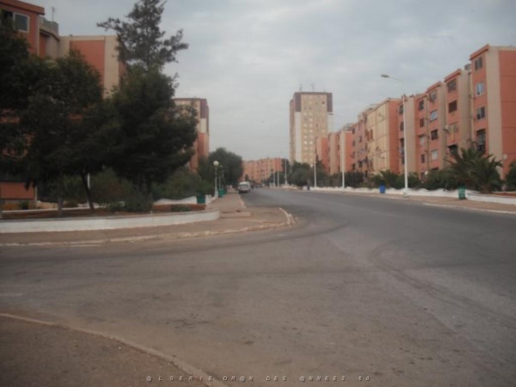DSCF0875.jpg