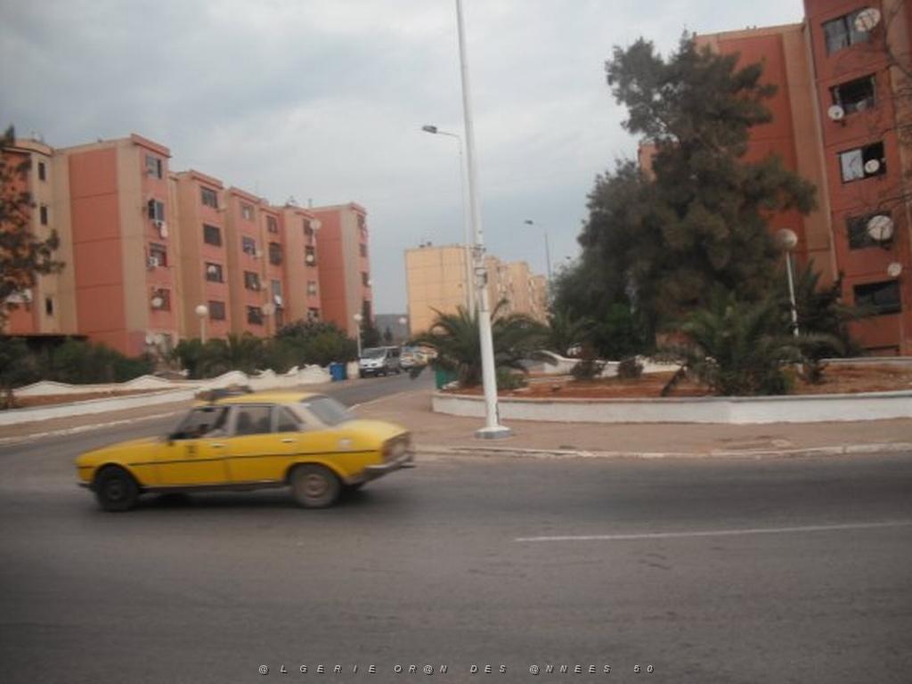 DSCF0877.jpg