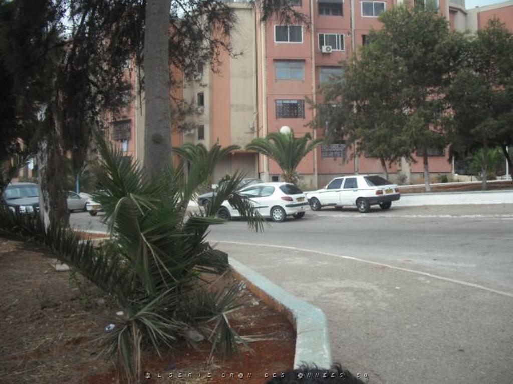 DSCF0883.jpg