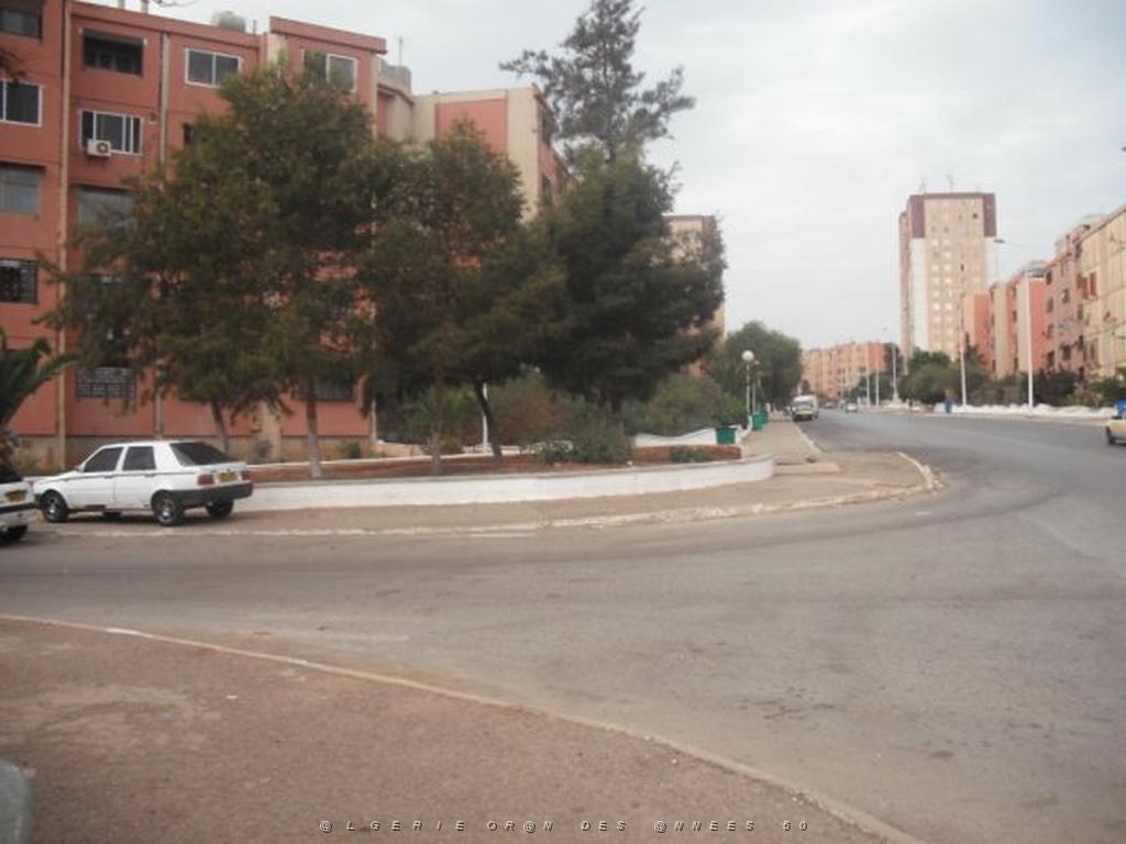DSCF0884.jpg