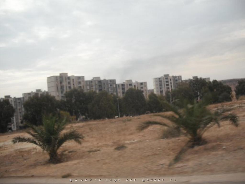 DSCF0897.jpg
