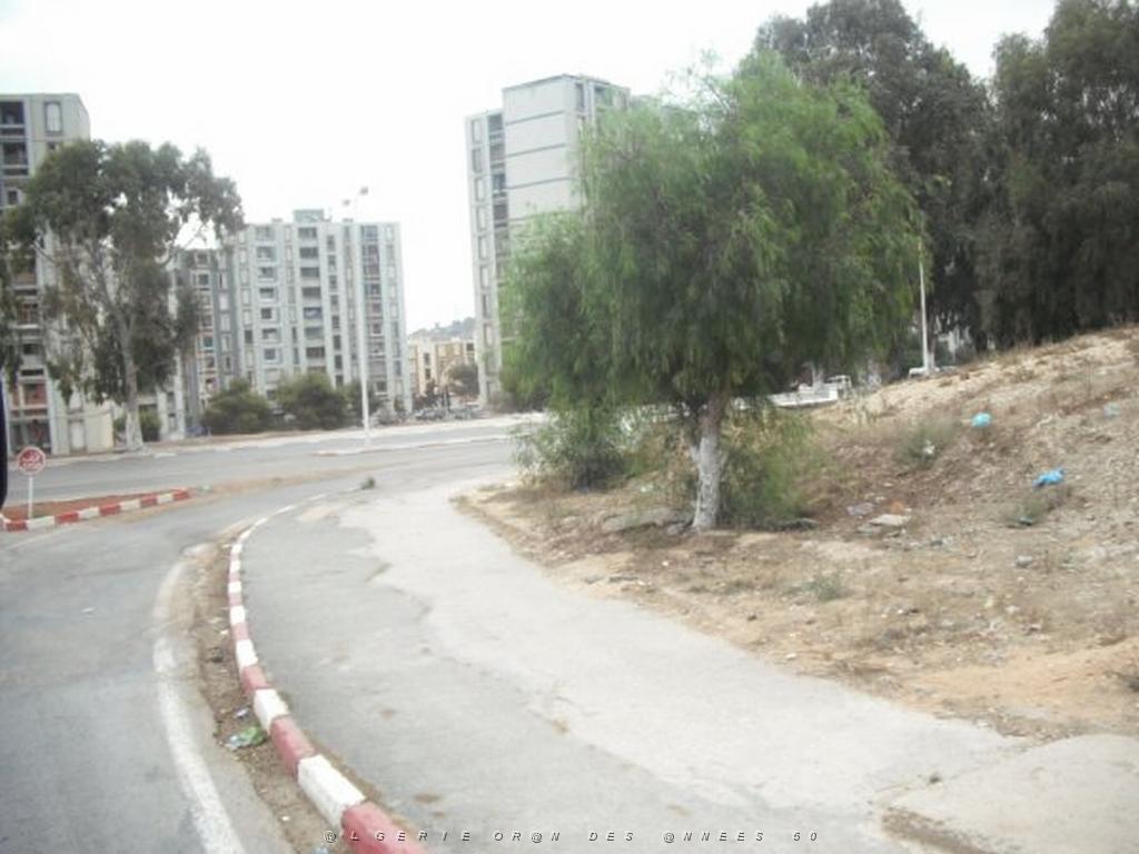 DSCF0898.jpg