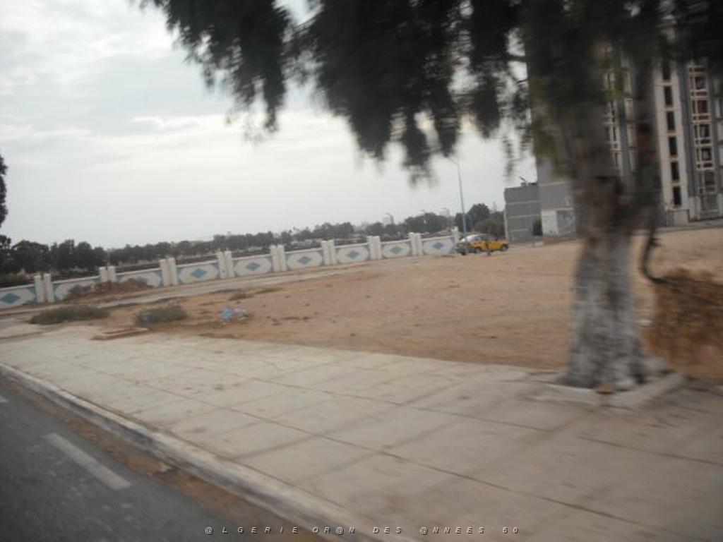 DSCF0900.jpg