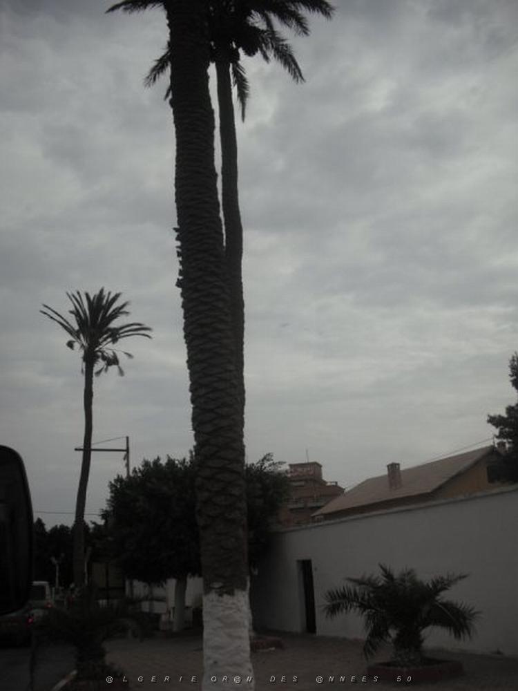 DSCF0906.jpg