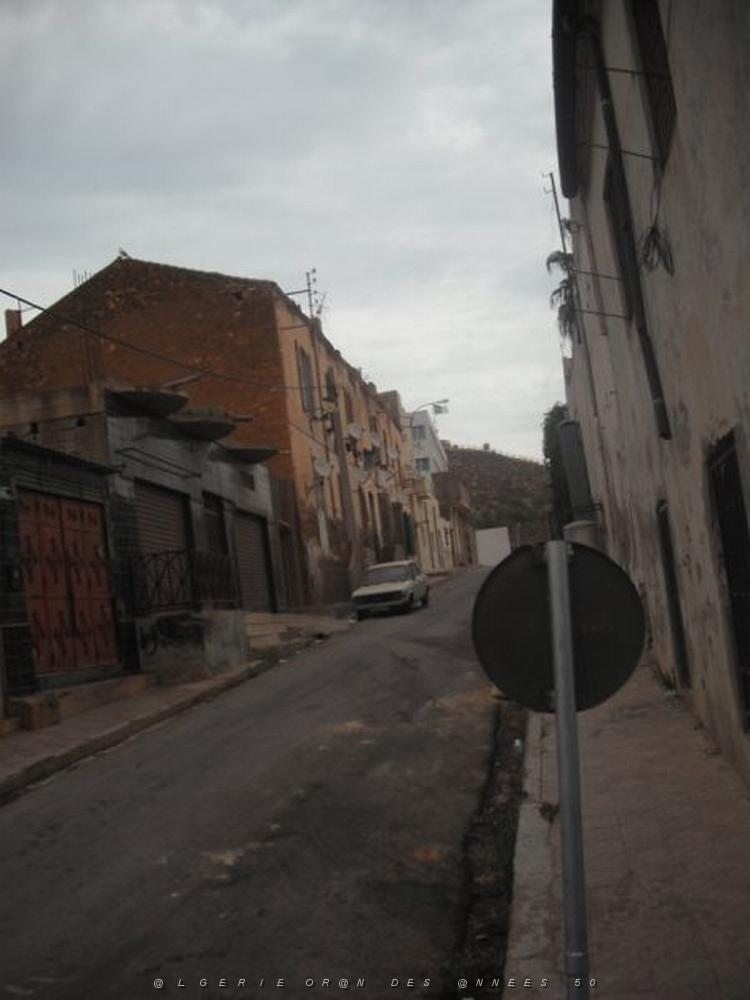 DSCF0914.jpg