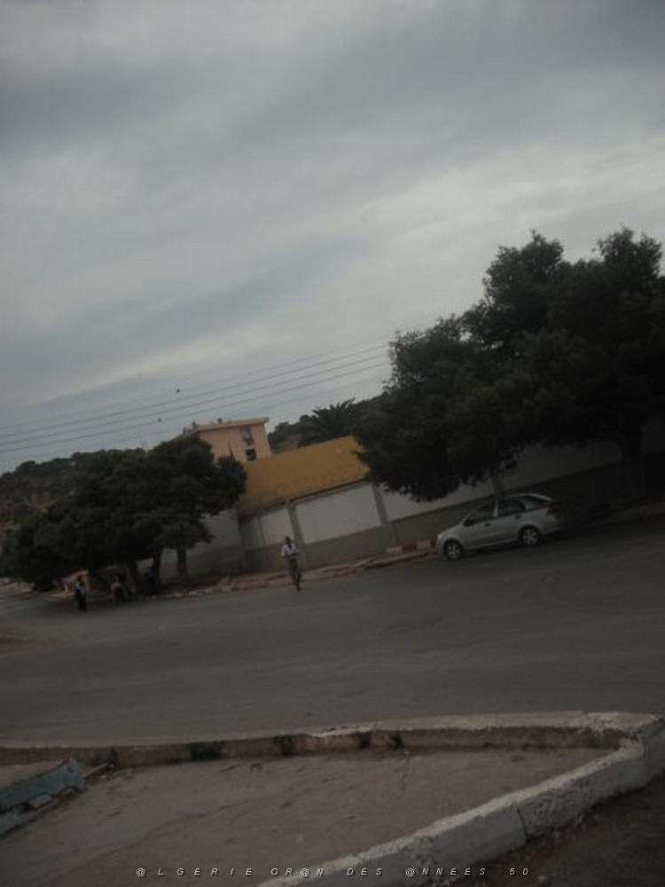 DSCF0919.jpg