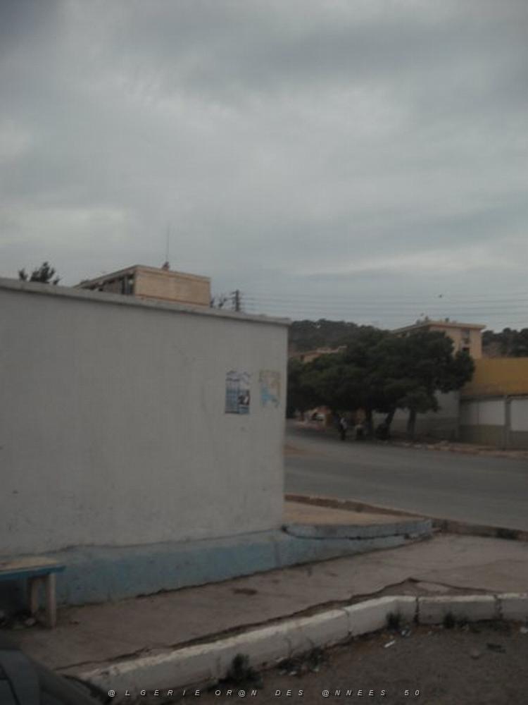 DSCF0920.jpg