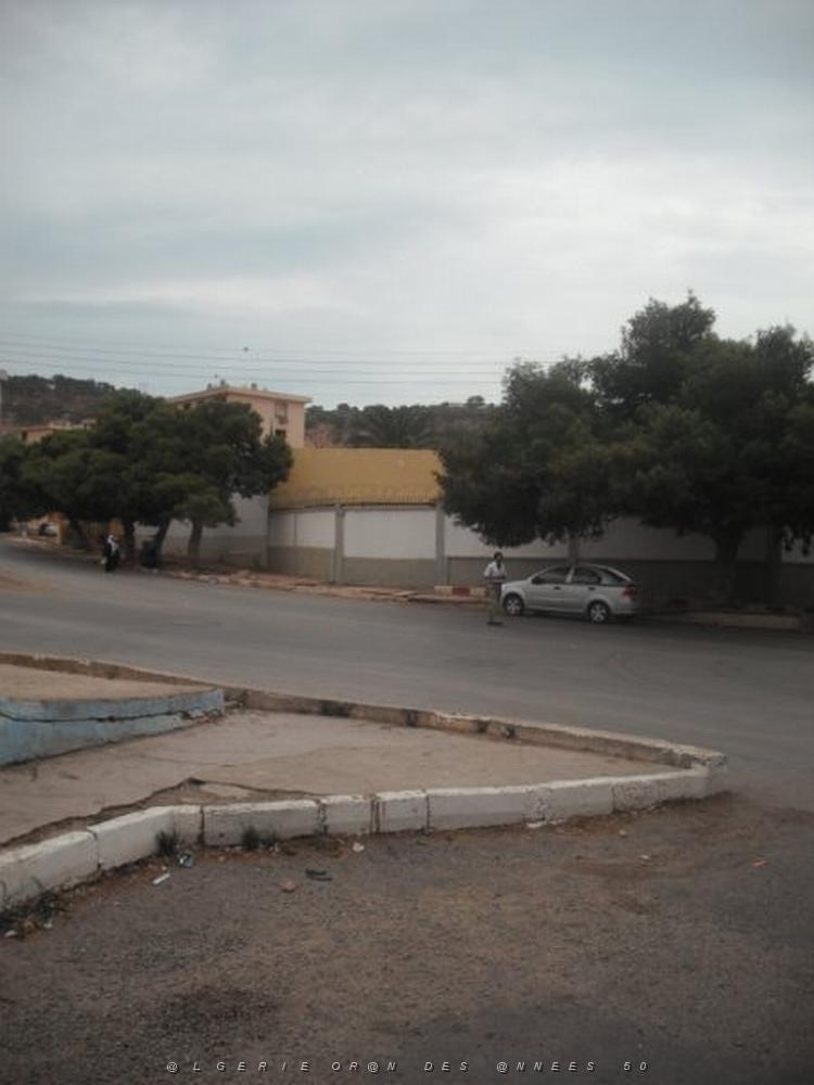 DSCF0921.jpg