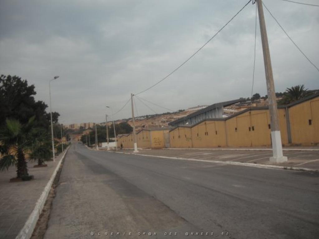 DSCF0924.jpg