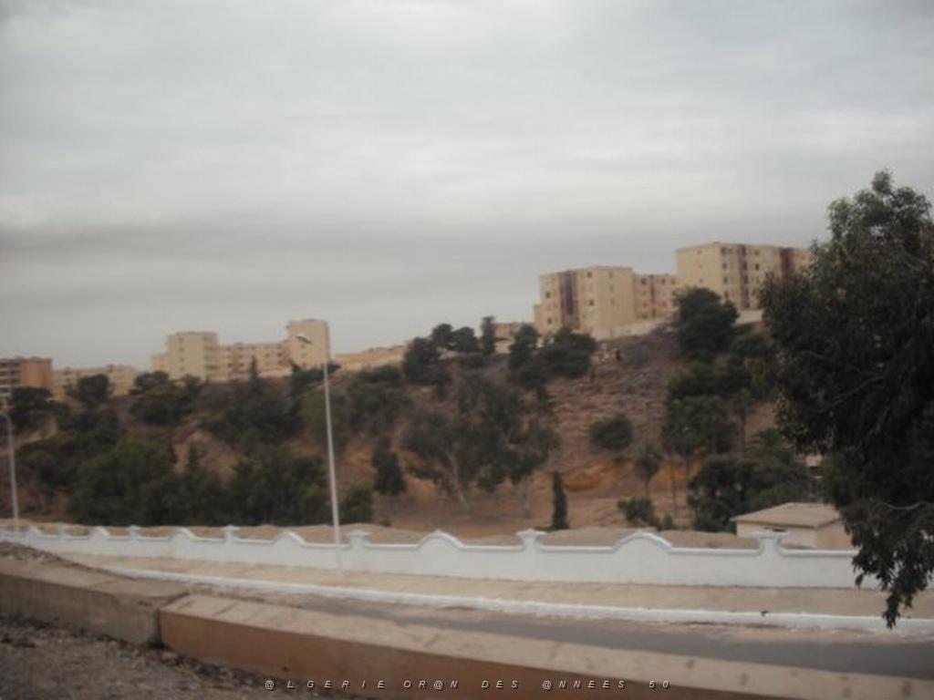 DSCF0930.jpg