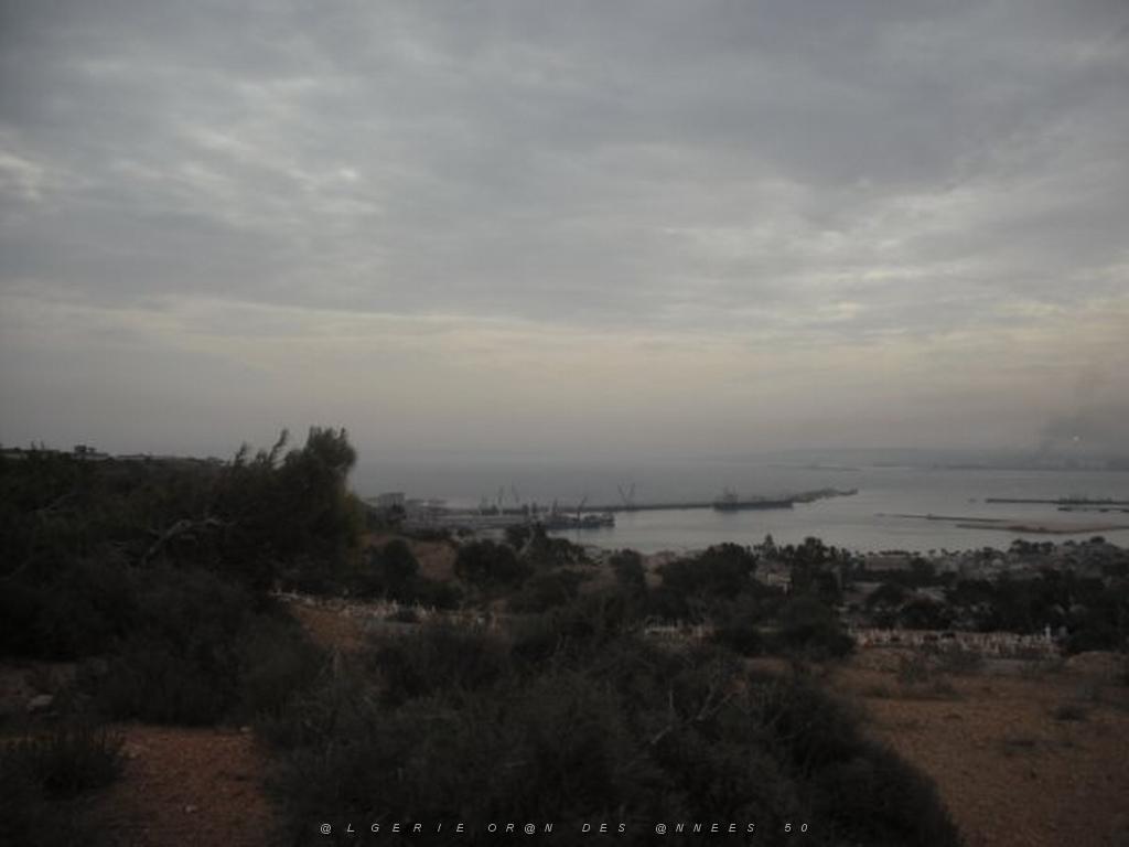 DSCF0934.jpg