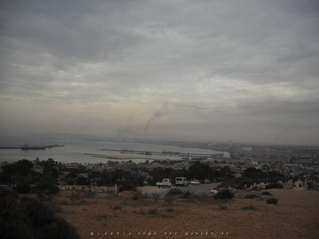 DSCF0935.jpg