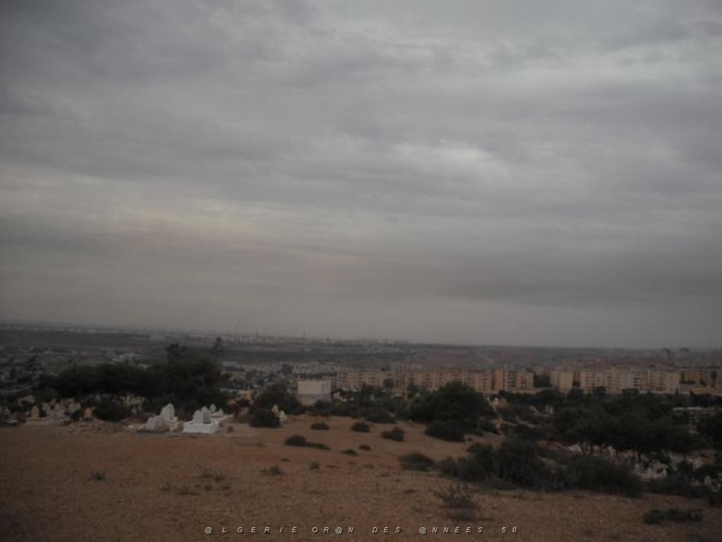 DSCF0938.jpg