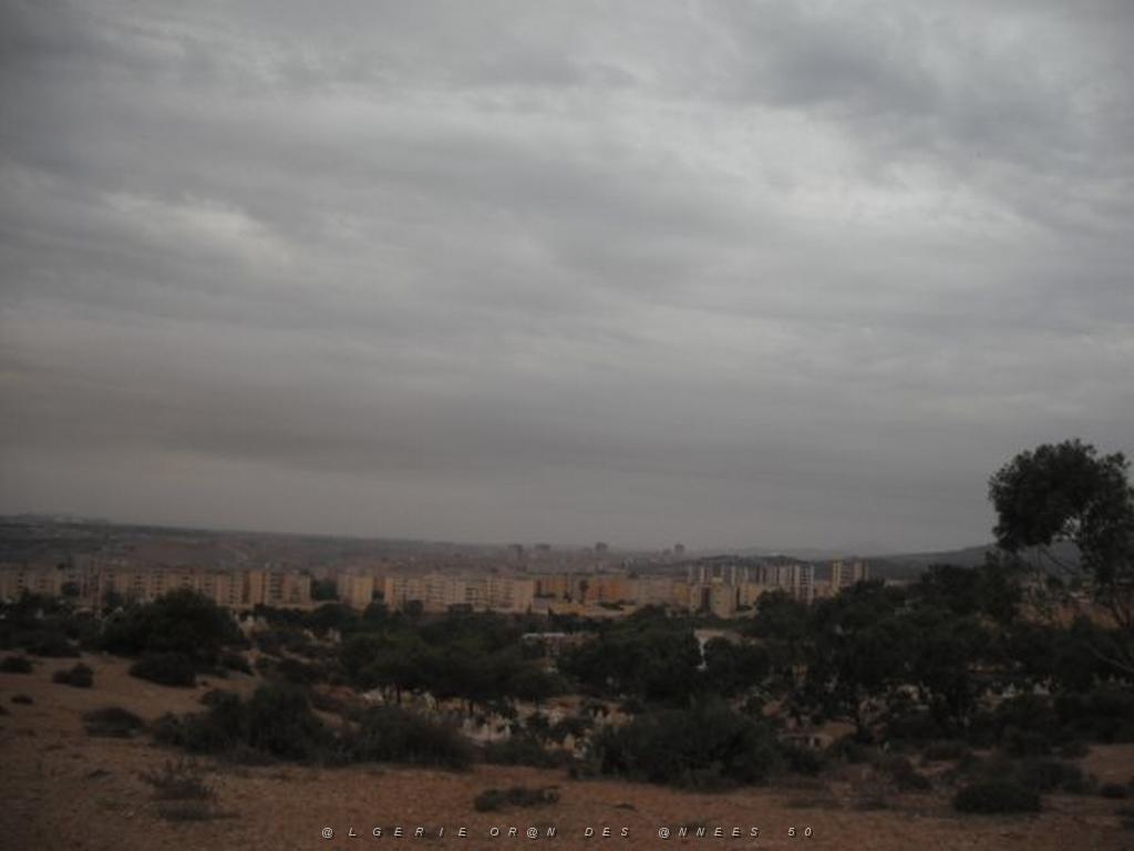 DSCF0939.jpg