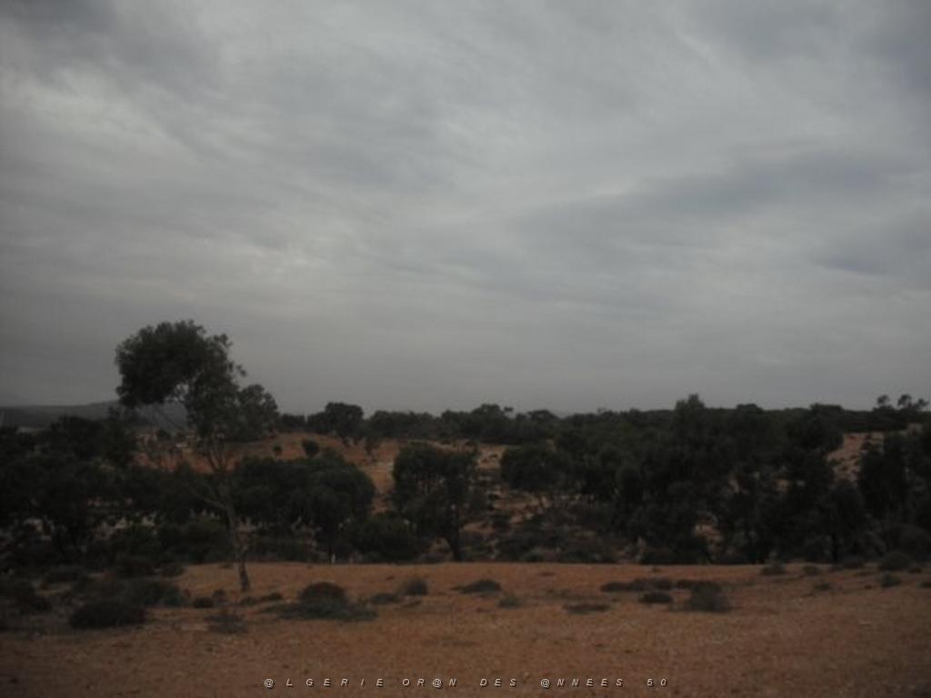 DSCF0941.jpg