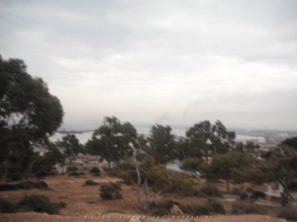 DSCF0943.jpg