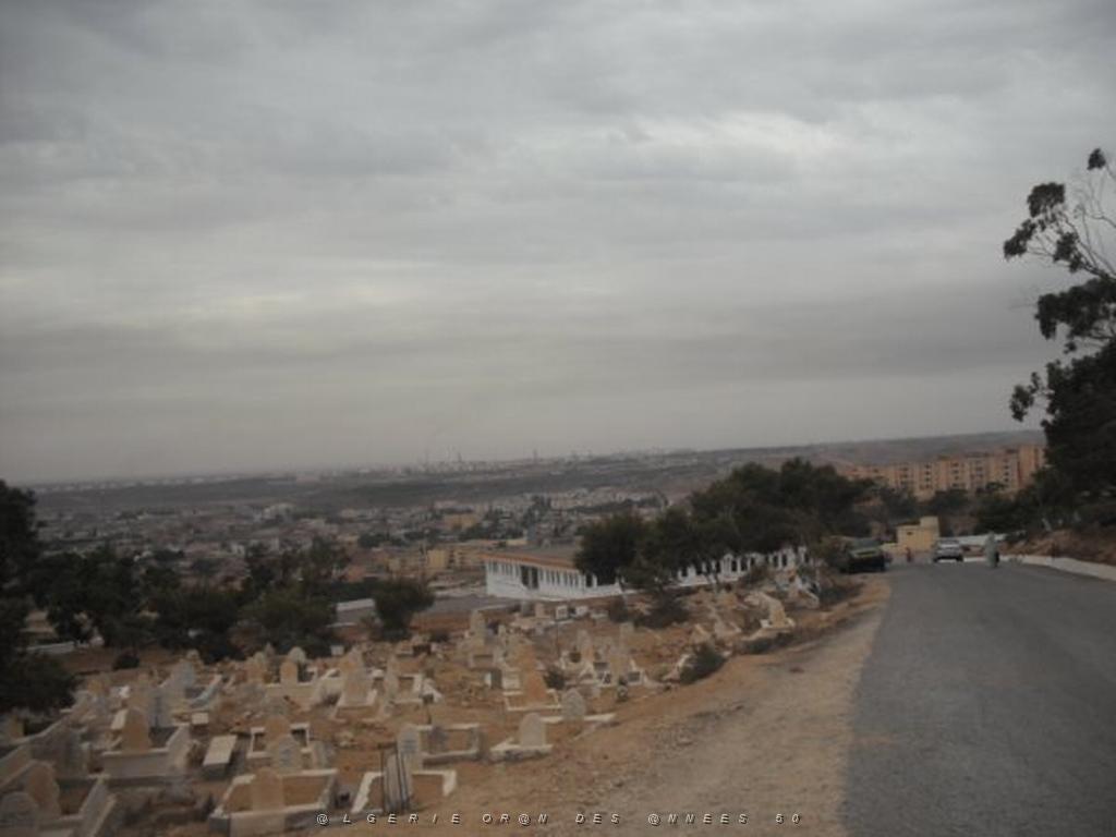 DSCF0946.jpg
