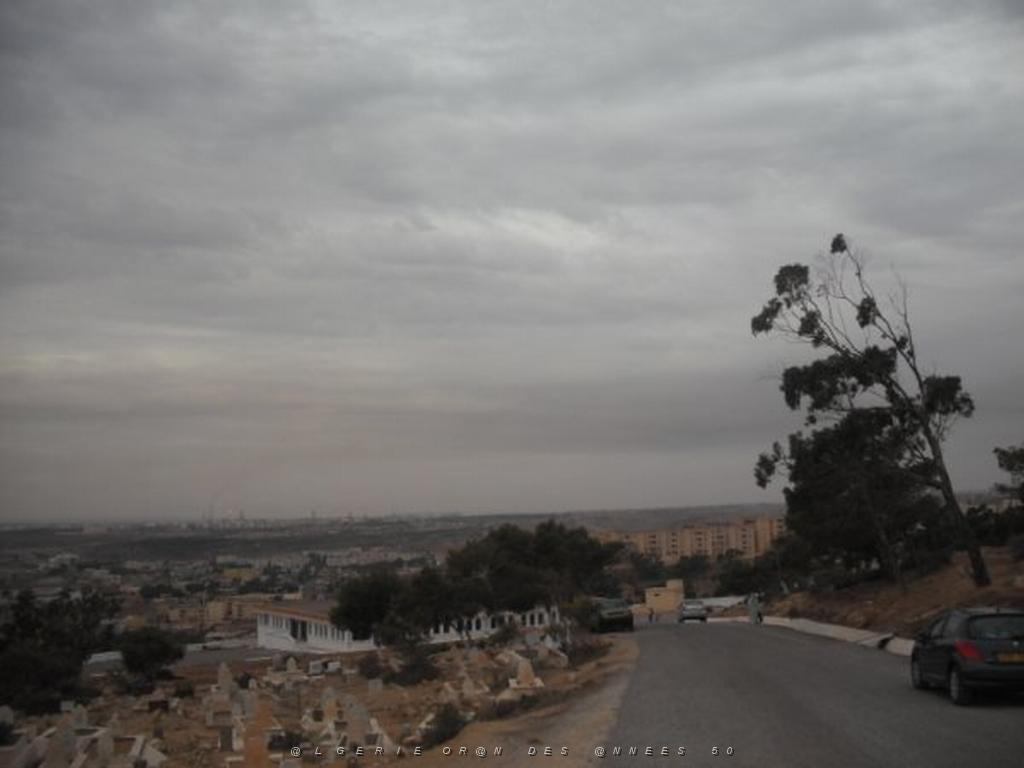 DSCF0947.jpg