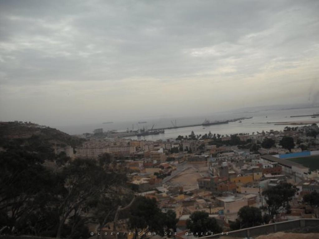 DSCF0951.jpg