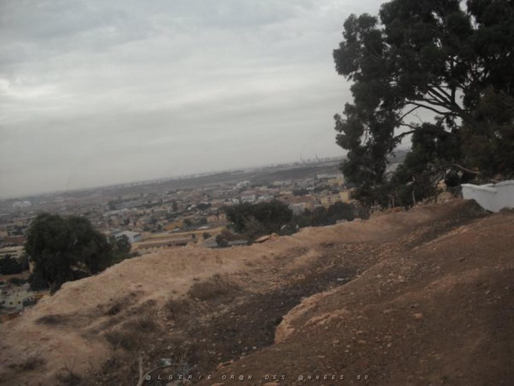 DSCF0953.jpg
