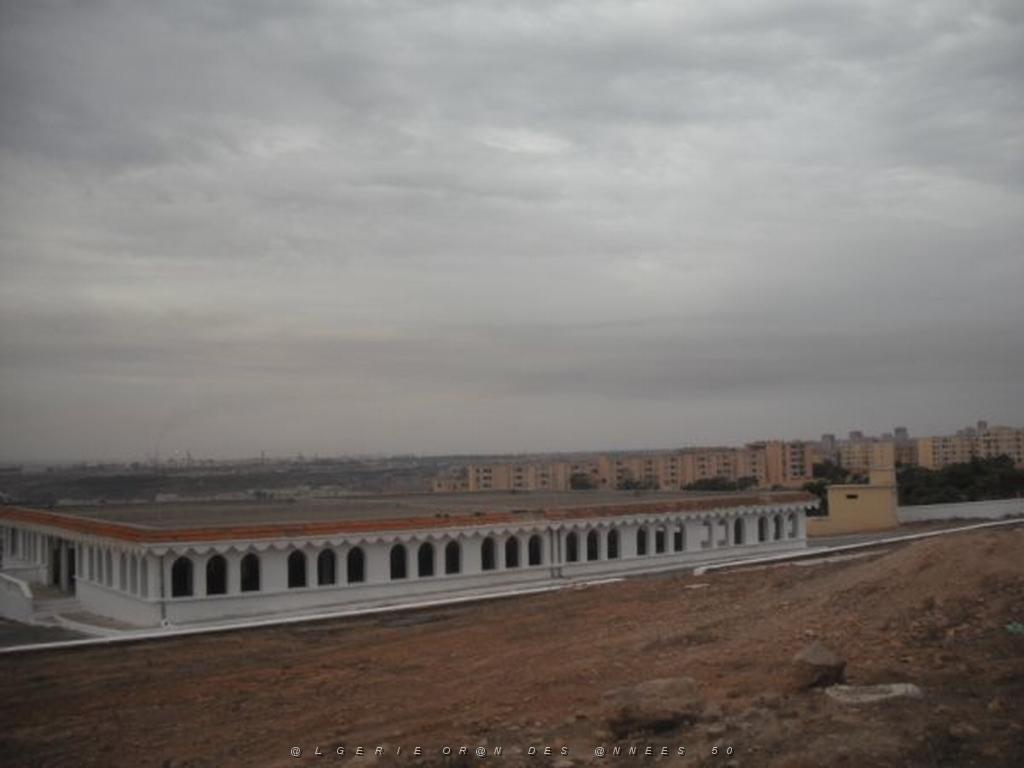 DSCF0957.jpg