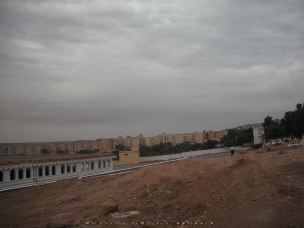 DSCF0958.jpg