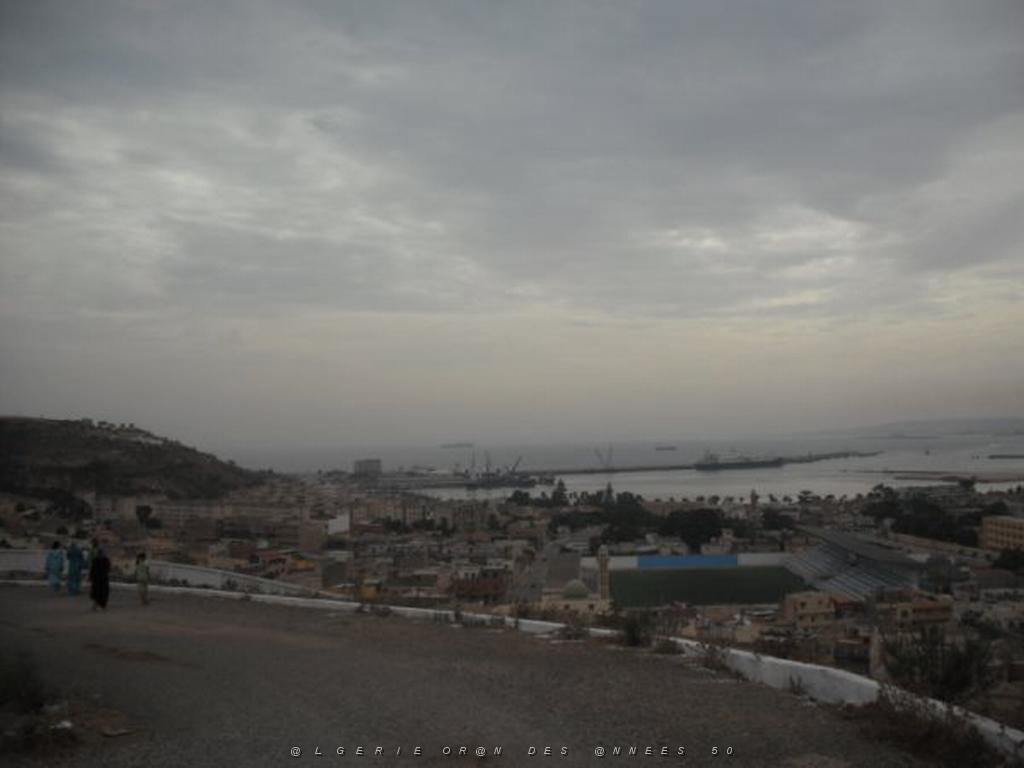 DSCF0964.jpg