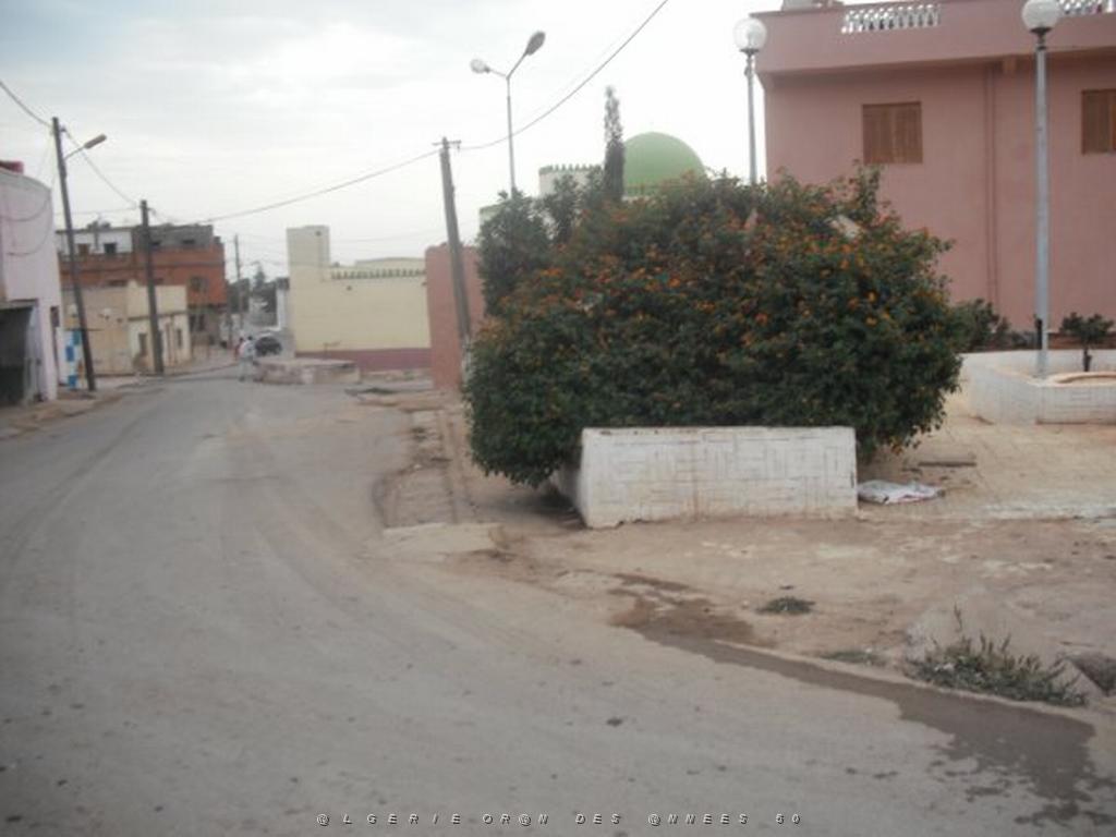 DSCF0967.jpg