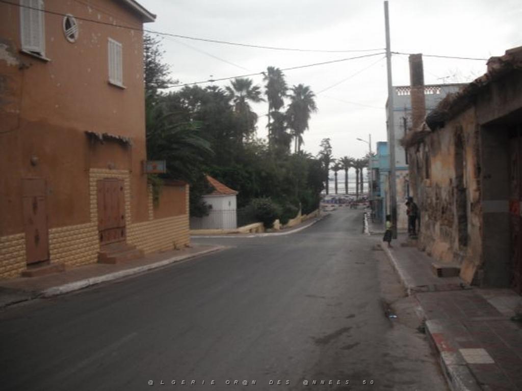 DSCF0969.jpg