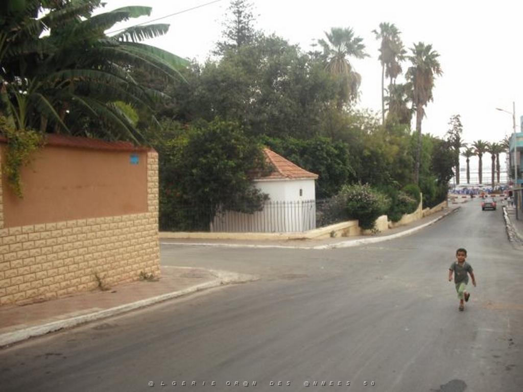 DSCF0970.jpg