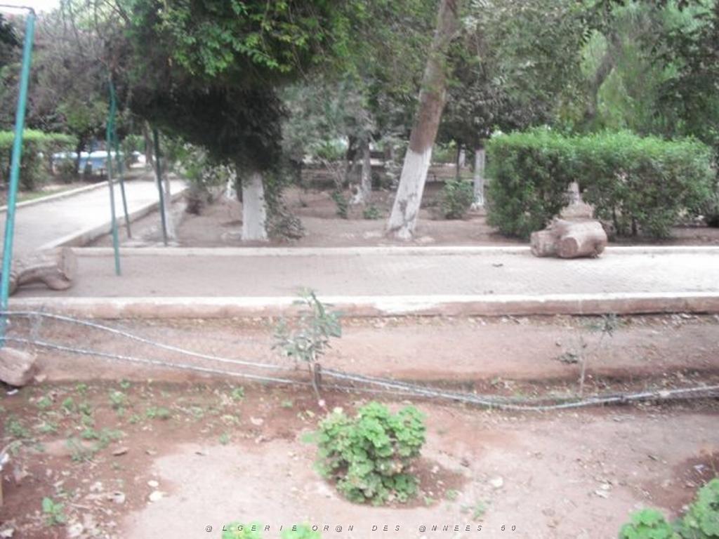 DSCF0973.jpg