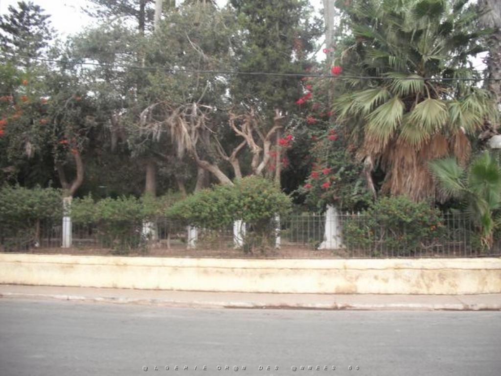 DSCF0975.jpg