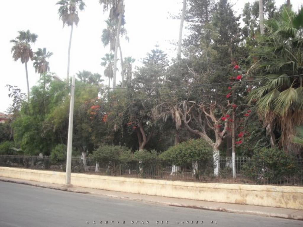 DSCF0980.jpg