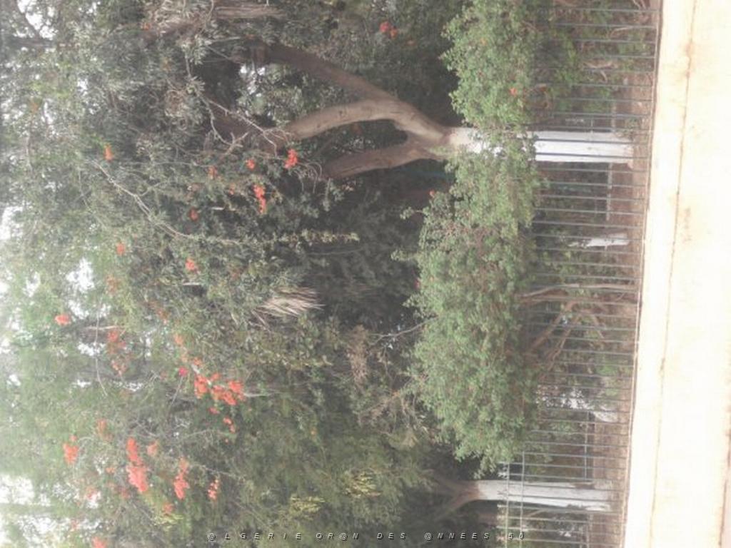 DSCF0985.jpg