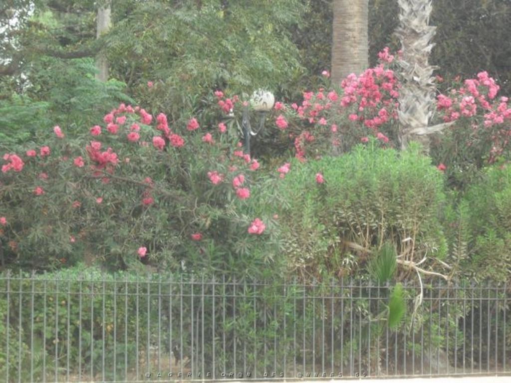 DSCF0986.jpg