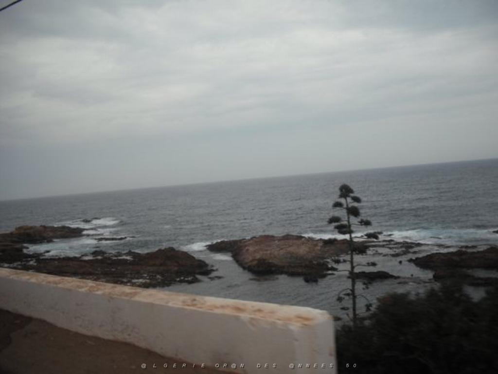 DSCF1009.jpg