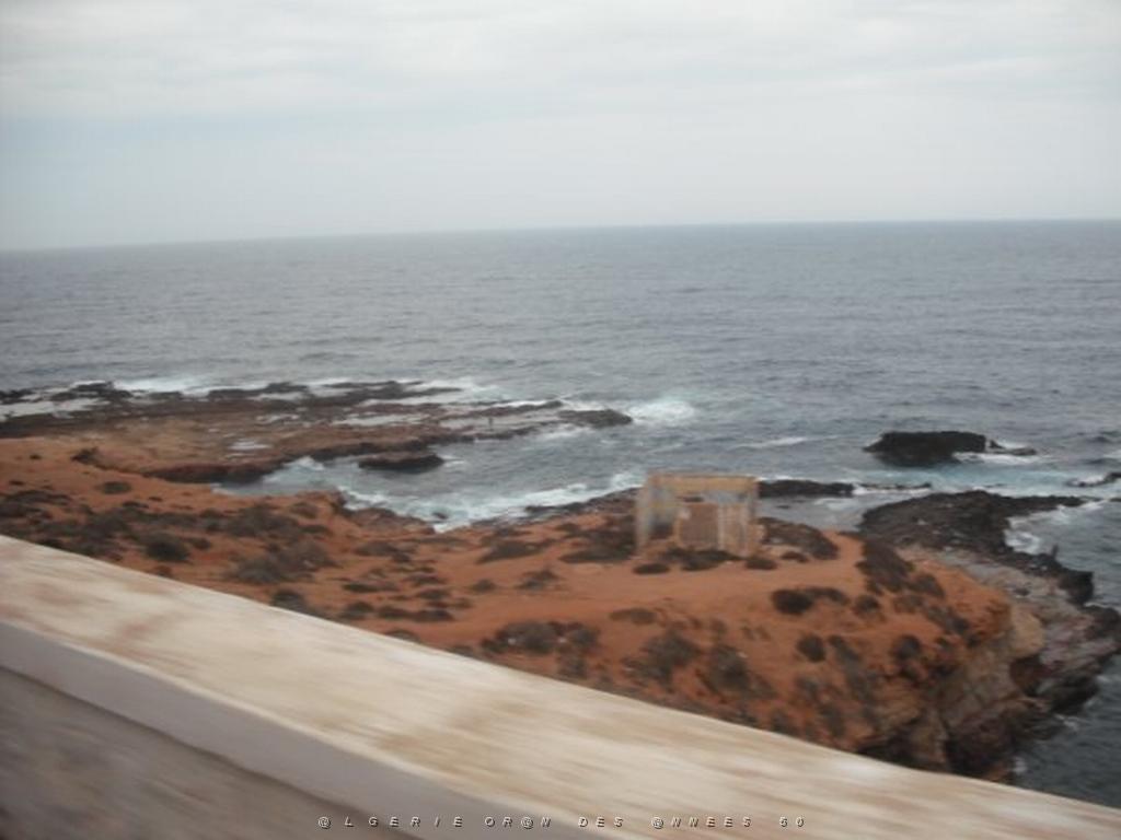 DSCF1011.jpg