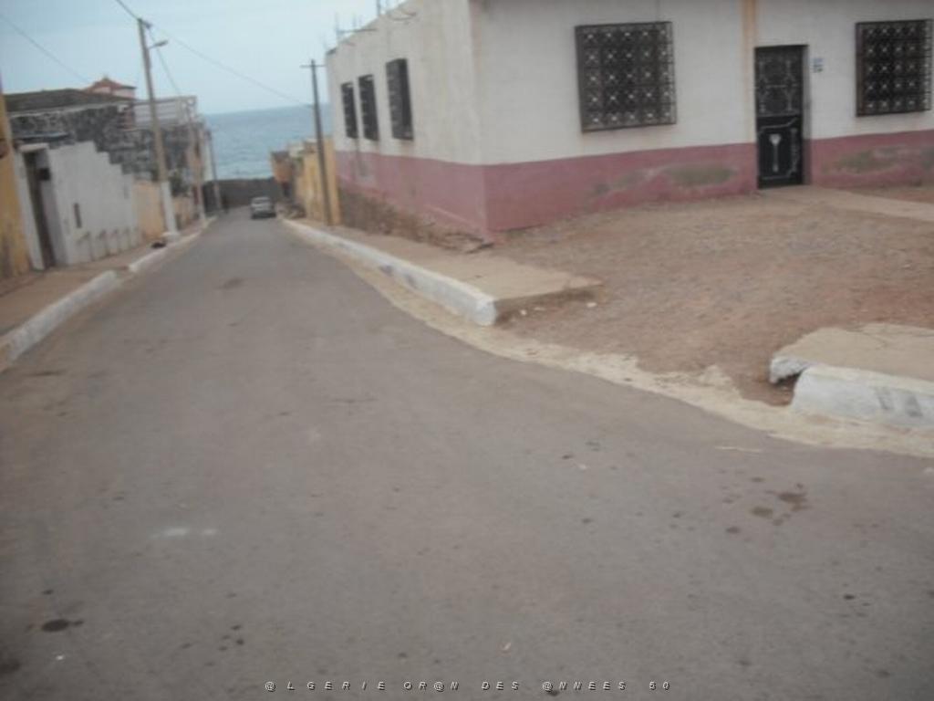 DSCF1017.jpg