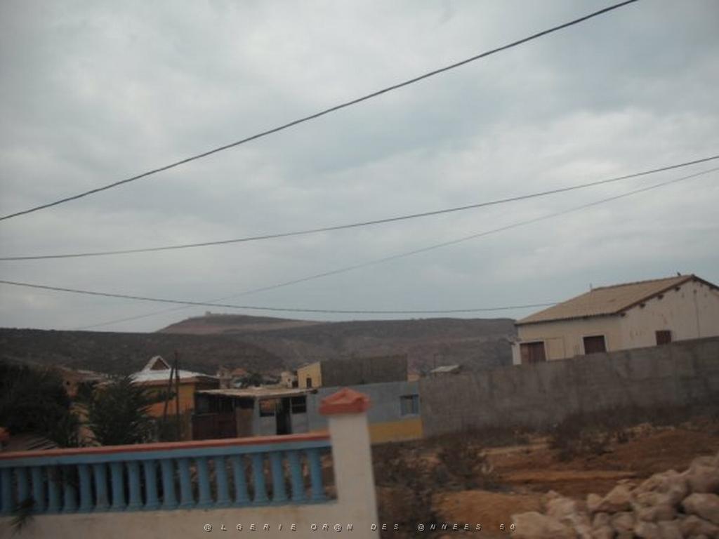 DSCF1018.jpg