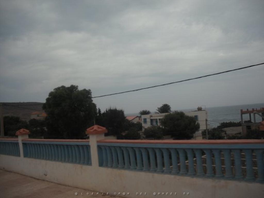DSCF1019.jpg