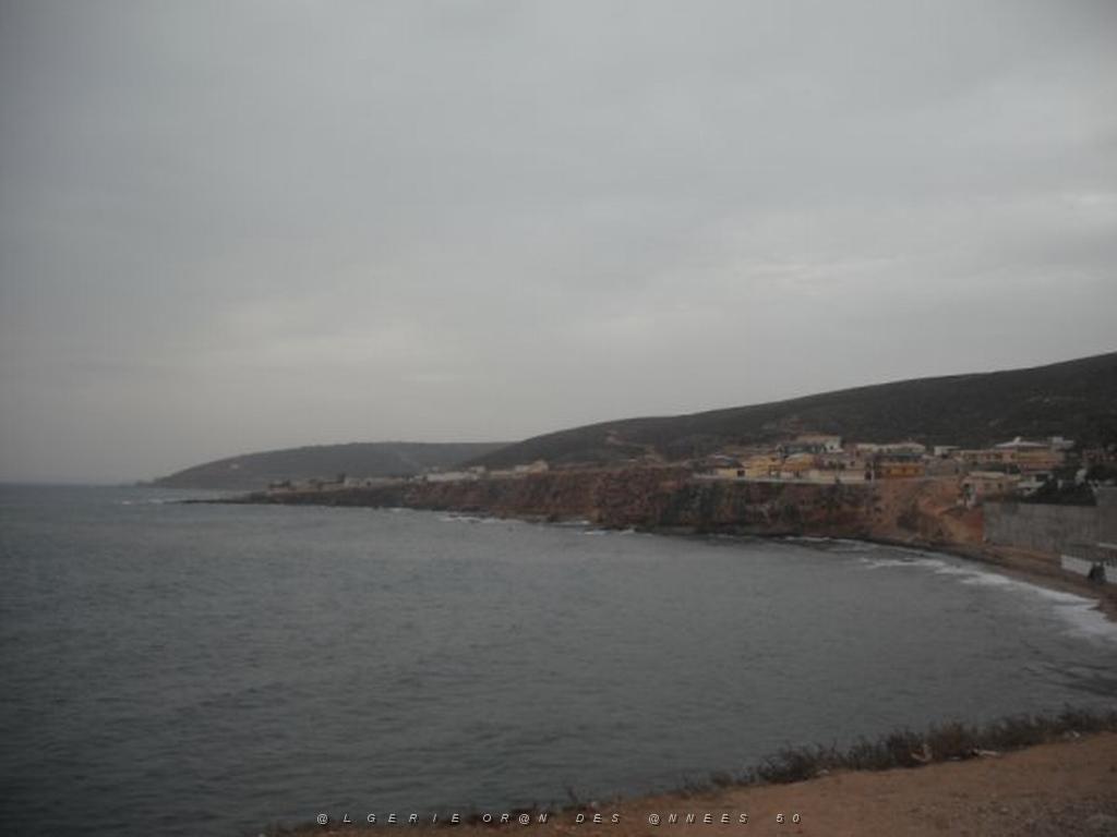 DSCF1024.jpg