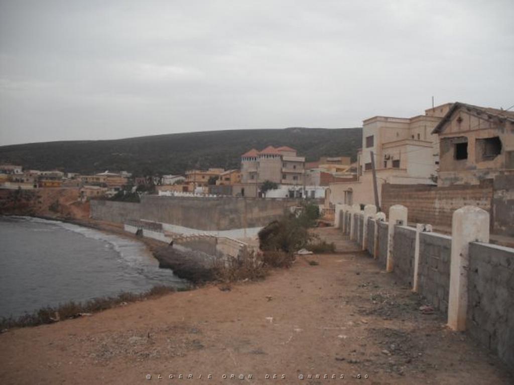 DSCF1025.jpg